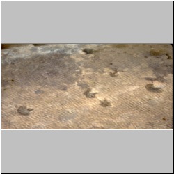 px85b-12-7 (A Trail).jpg